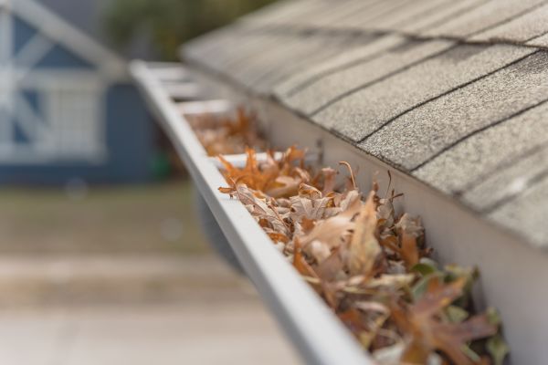 Leaf Barrier Installation in Senoia